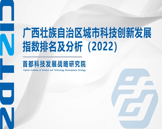 白丝精液喷出视频在线看【成果发布】广西壮族自治区城市科技创新发展指数排名及分析（2022）